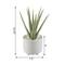 Flora Bunda® 10" Aloe In 5" Barcode Footed Ceramic Pot